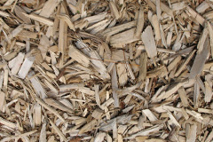 biomass boilers Glespin